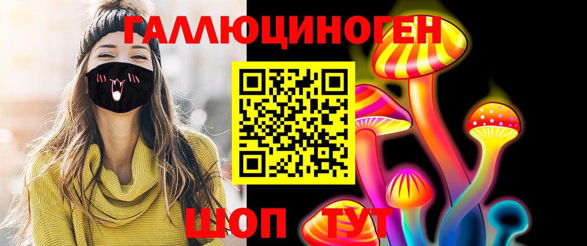 Псилоцибиновые грибы Psilocybine cubensis Щёкино