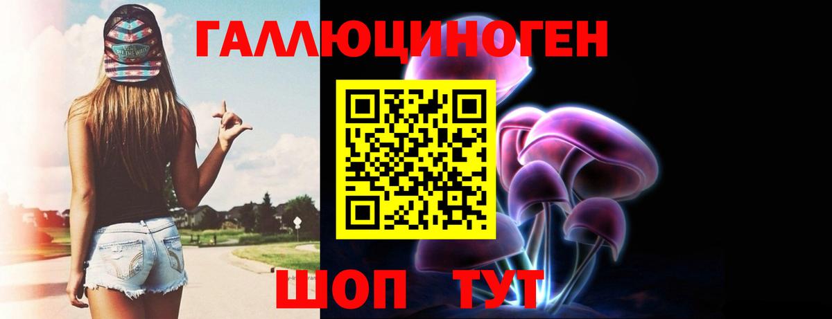 Галлюциногенные грибы MAGIC MUSHROOMS  Вход с VPN  Щёкино  Псилоцибиновые грибы прущие грибы 